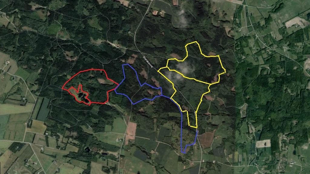 Dronninglund Storskov og Sømosen