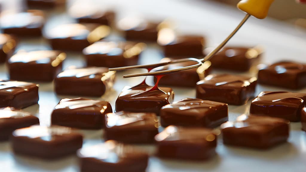 Xocolatl 
