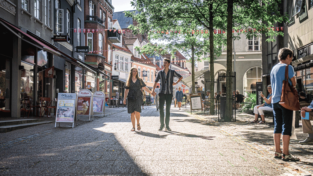 Haderslev Butikker