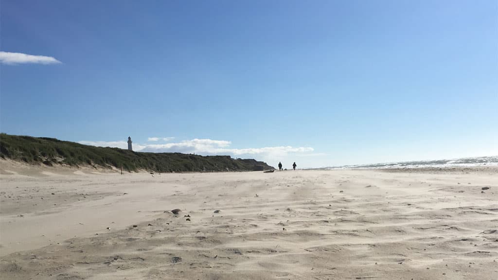 Husmoderstrand-2016