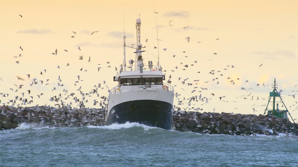 Hirtshals Havn