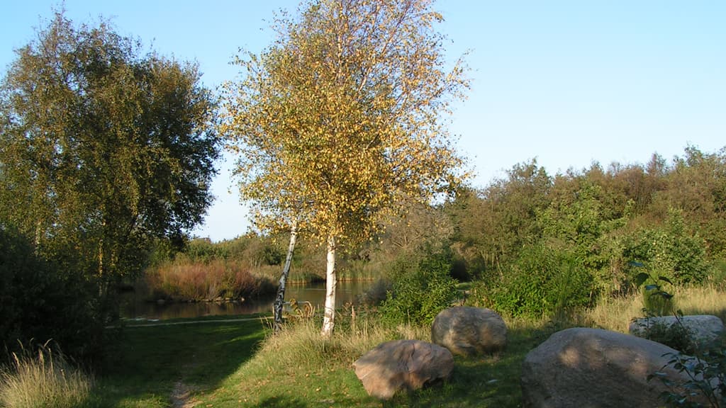 Folkeparken Hirtshals