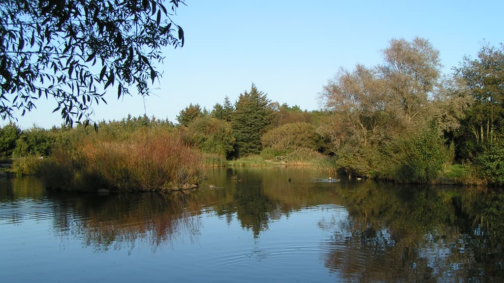 Folkeparken Hirtshals