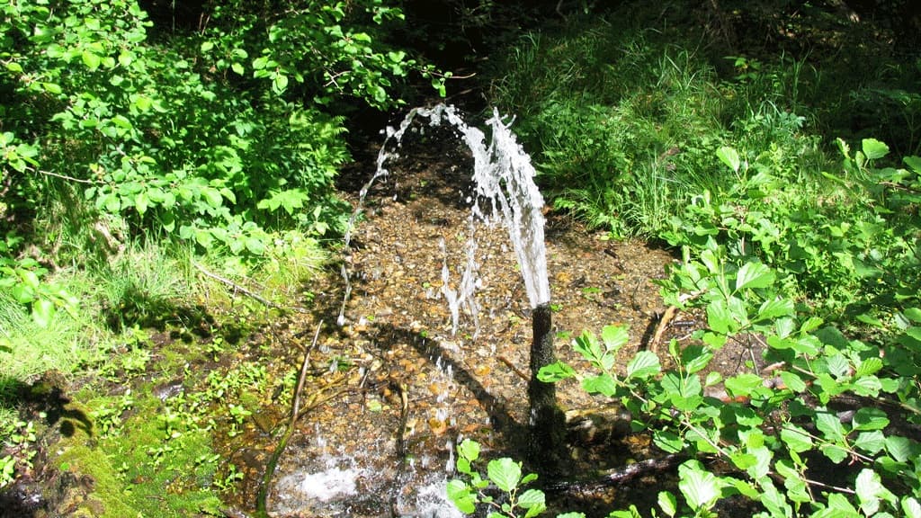 Springkilden