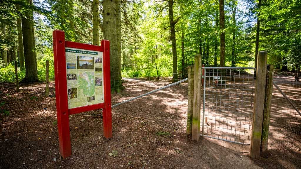 Den Jyske Skovhave / Hundeskoven
