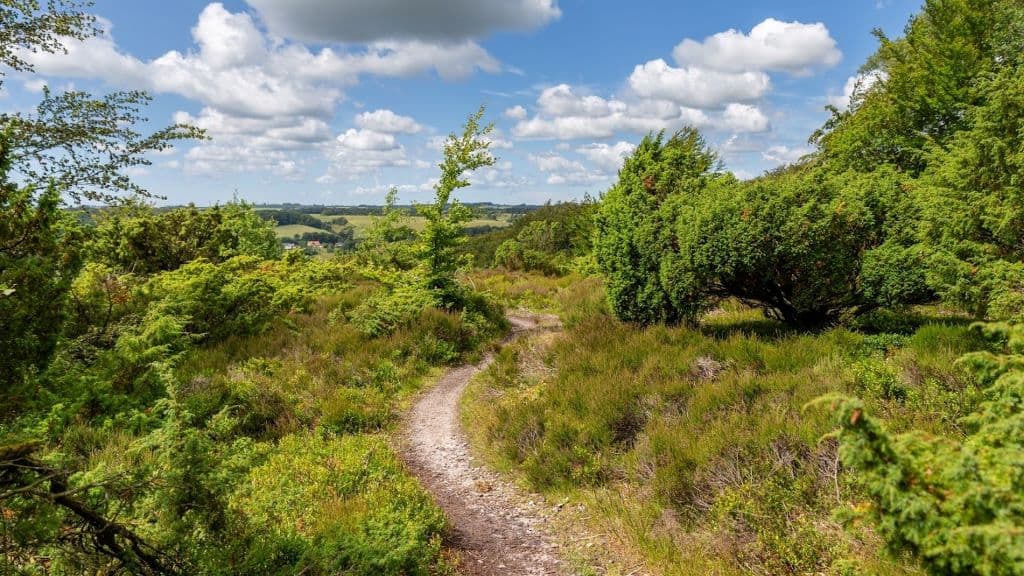 Rebild Bakker | Rebild National Park