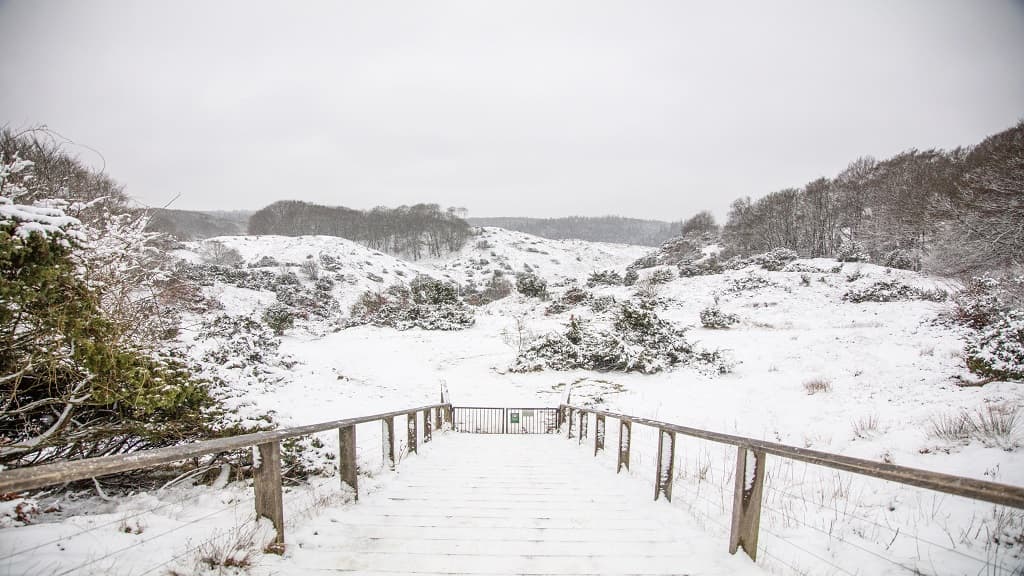 Rebild Bakker | Rebild National Park