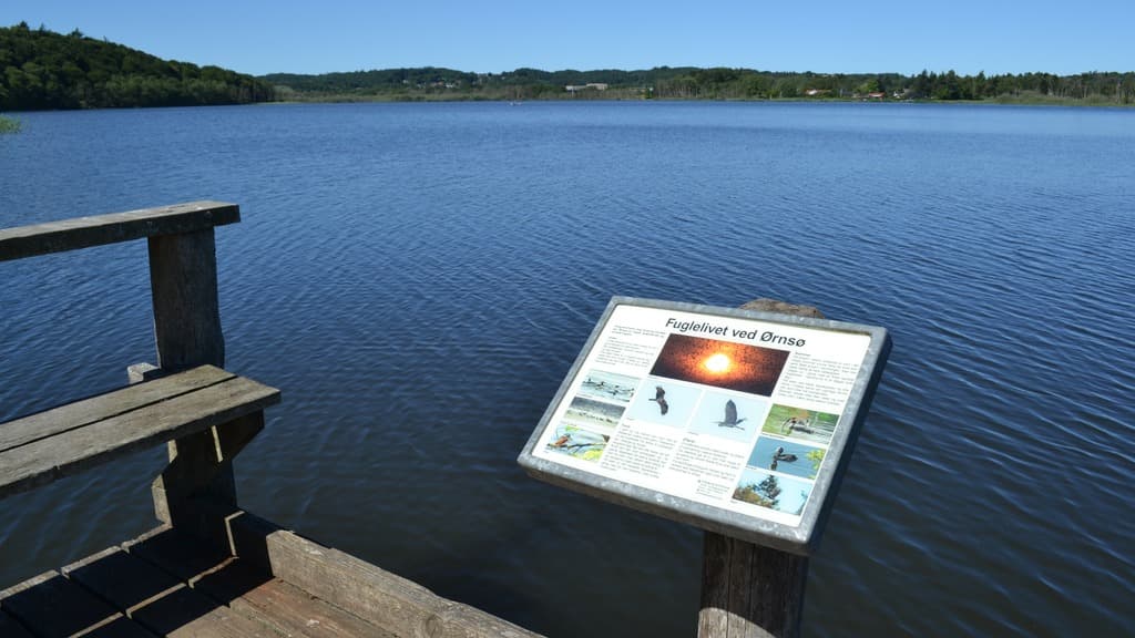 Ørnsø