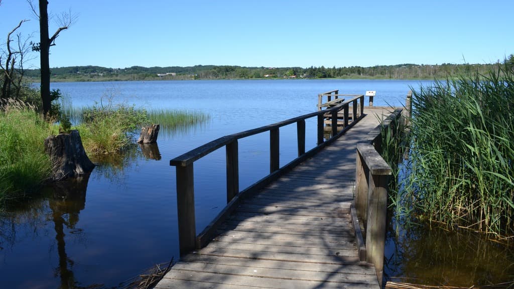 Ørnsø Badebro