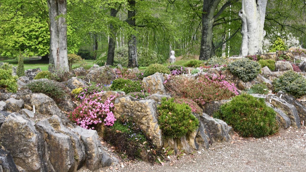 Spaltebed - Bangsbo Botaniske Have