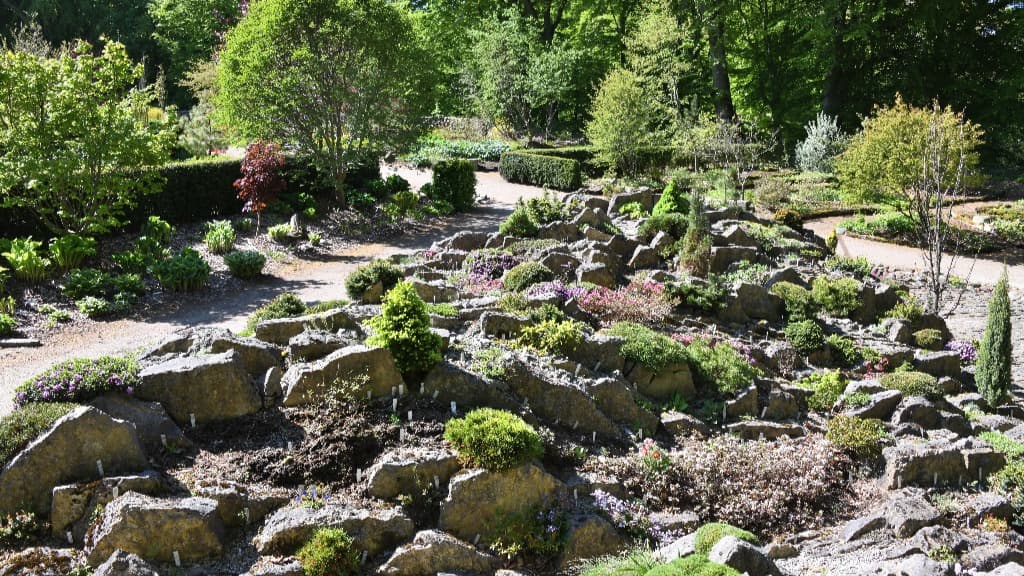 Spaltebed - Bangsbo Botaniske Have