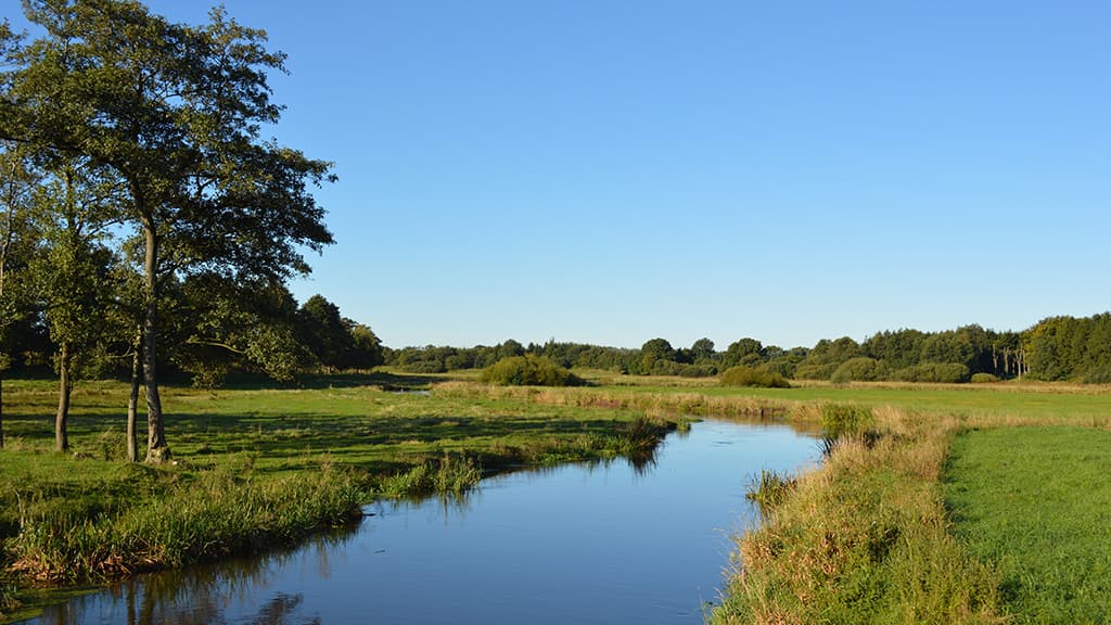 Kongeåen ved Skodborghus