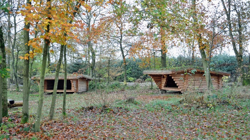 Bindeballe Købmandsgård