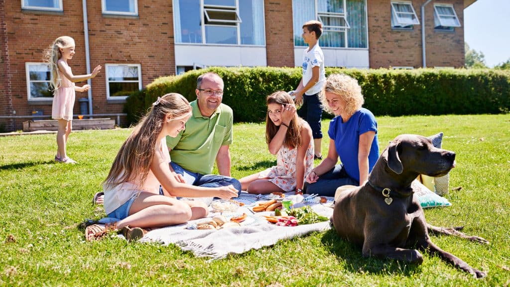 Picnic på græsplænen ved GIVSKUD ZOO HOSTEL