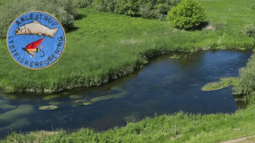 Aalestrup Lystfiskerforening