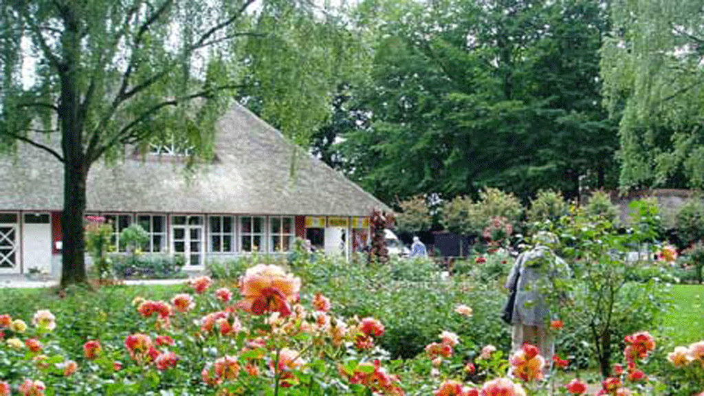 Den Jydske Rosenpark i Aalestrup