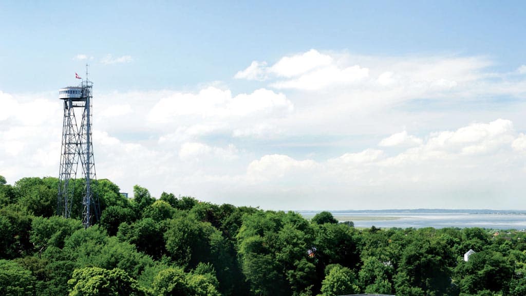 Skovbakken naturområde