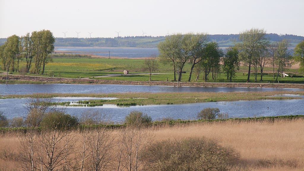 Halkær Sø