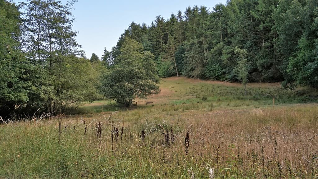 Fredet område: Grevsmosen, Slettingen, Fejborg Bakke og Bollebakken