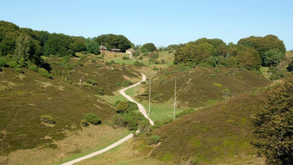 Rebild Bakker | Rebild National Park