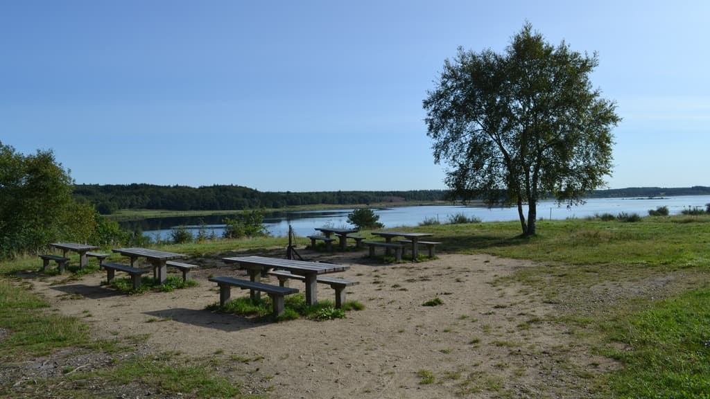 Bølling Sø ved Silkeborg