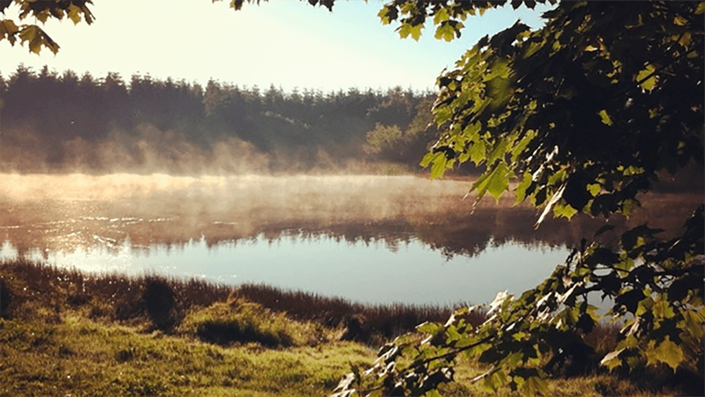 Ferielejligheder på Tollundgaard