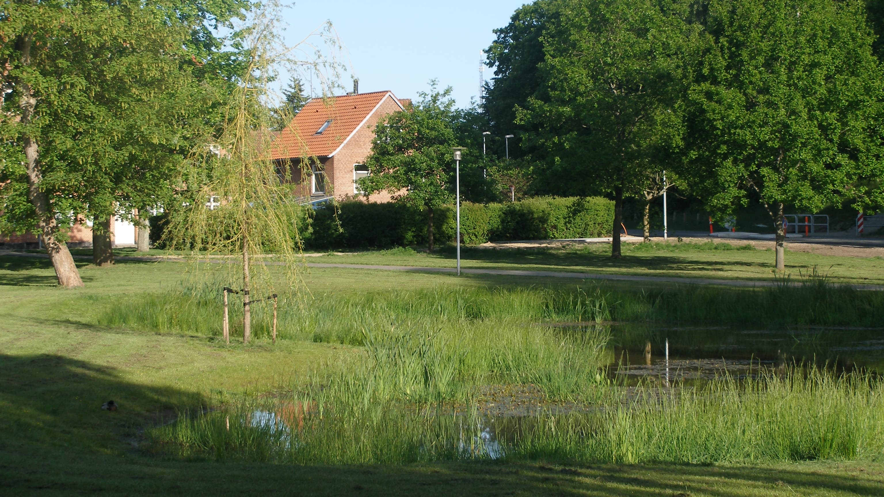 Jakob Skovenborg søen