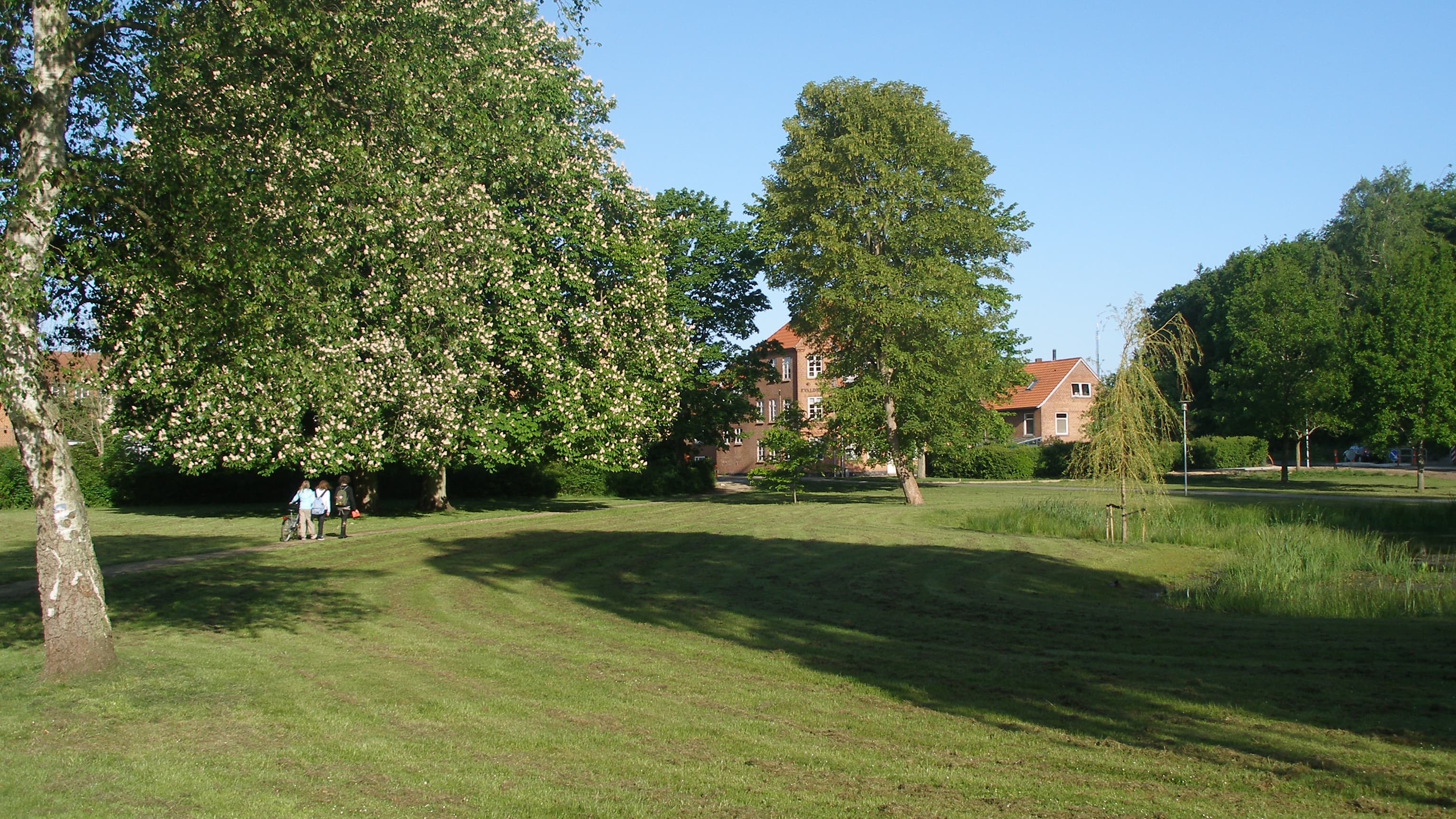 Jakob Skovenborg haven