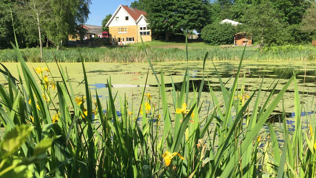 Gyvelborg Øko-camping & Gårdbutik - Bondegårdsferie