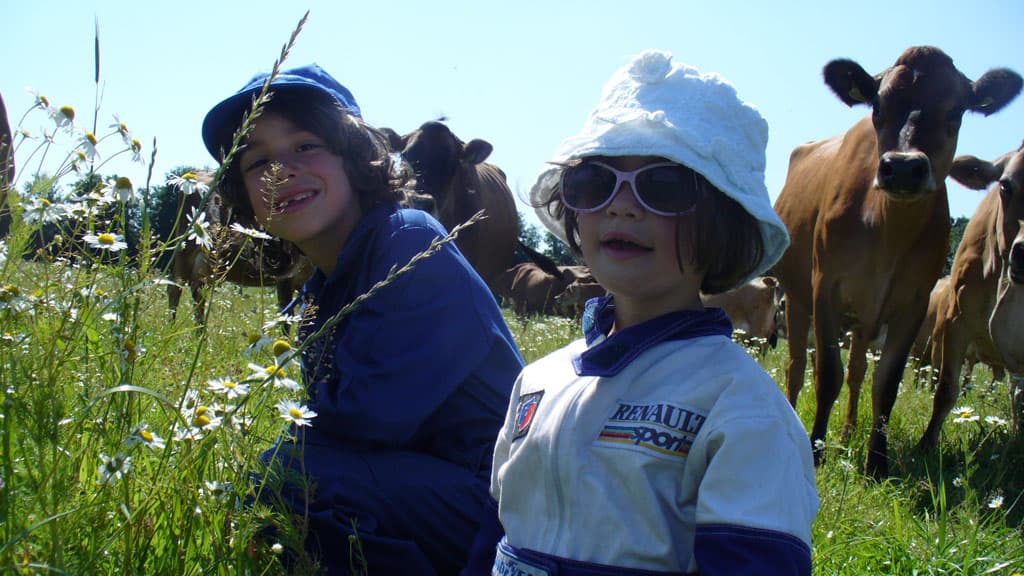 Gyvelborg Øko-camping & Gårdbutik - Bondegårdsferie