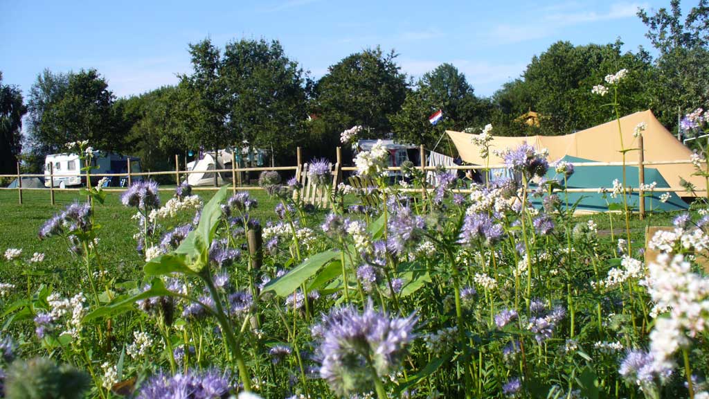 Gyvelborg Øko-camping & Gårdbutik - Bondegårdsferie