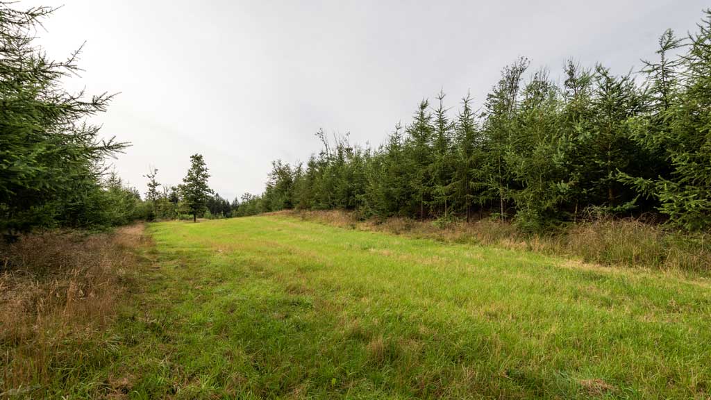 Studefold syd for Nr. Snede (Steer fold)