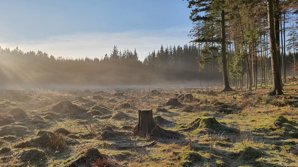 Store Økssø - ruter rundt om søen