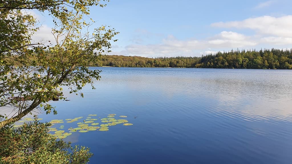 Store Økssø - ruter rundt om søen