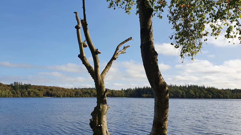 Store Økssø - ruter rundt om søen
