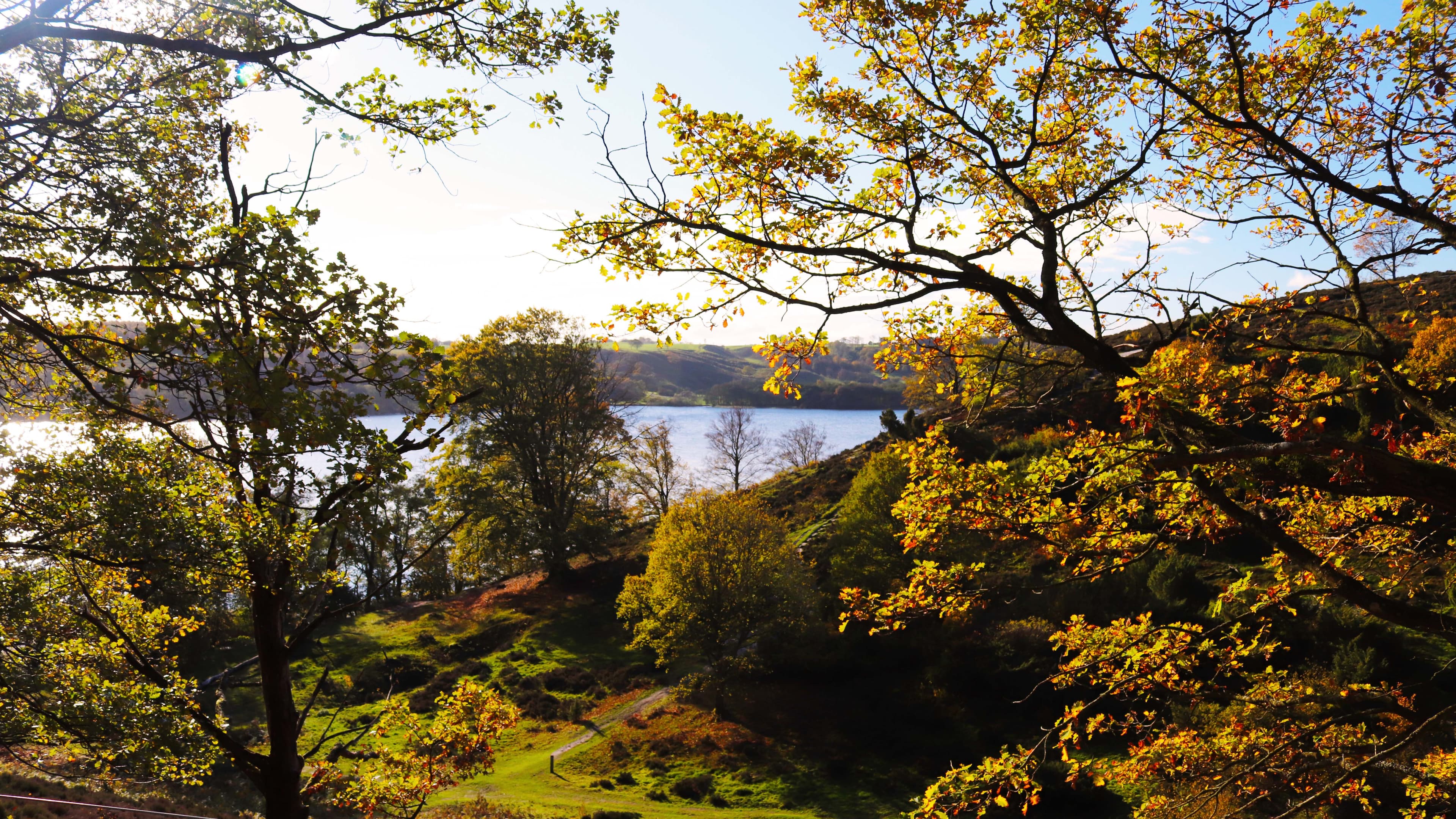 Efterårsstemning ved Hald Sø fra Dollerup Bakker