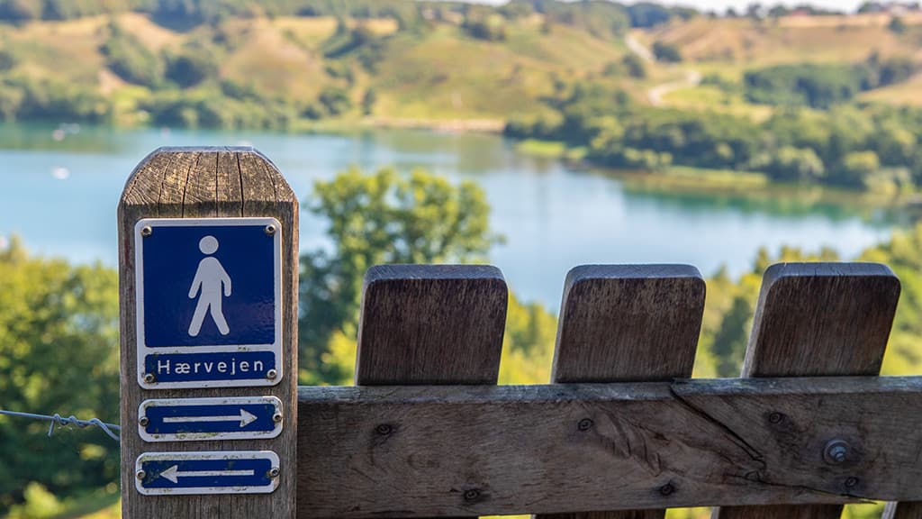 Hærvejen ved Hald Sø