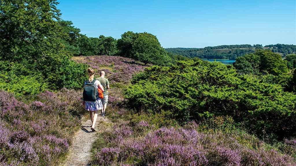 Vandring på Hærvejen ved Viborg