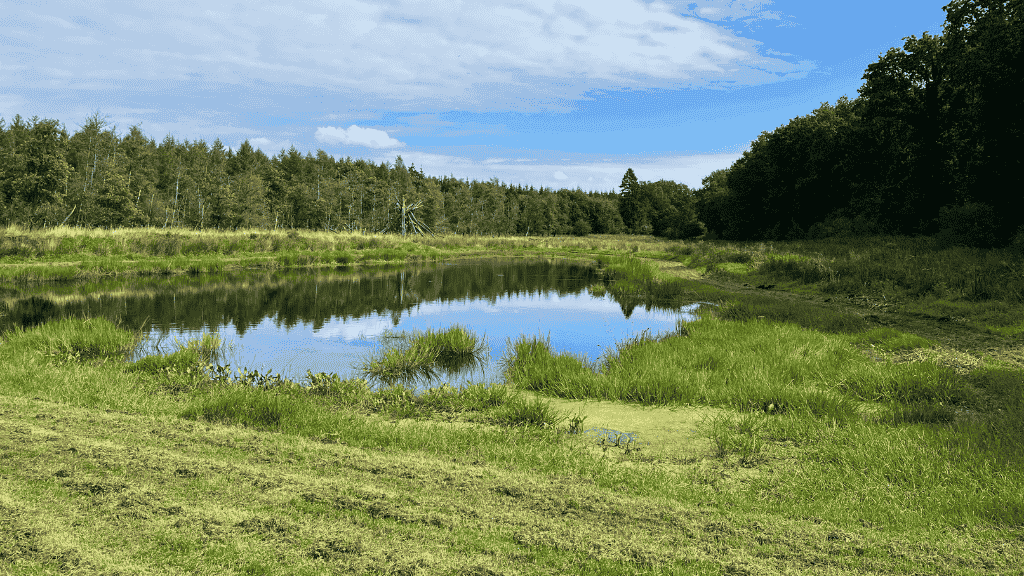 Sø ved Kelstrup Plantage