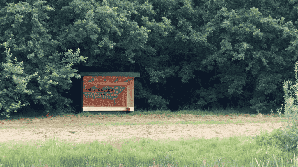 Lille shelter i udkant af skov